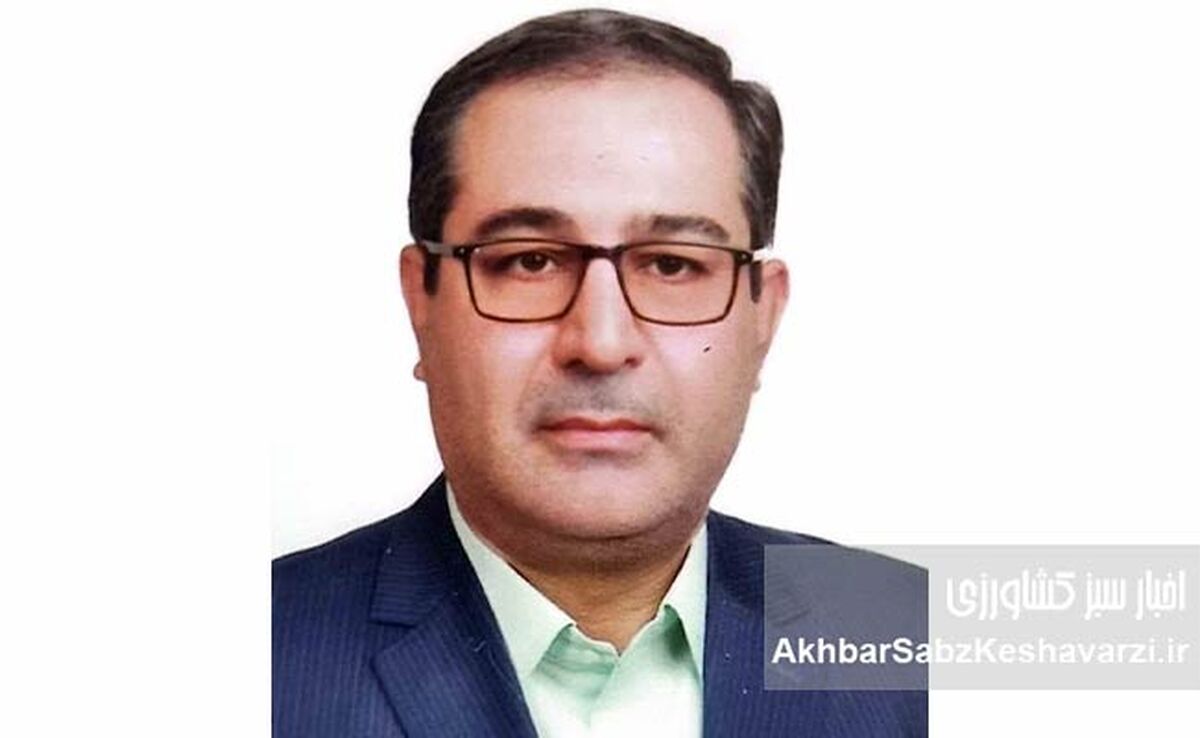 علی(ع) و عدالت؛ چرا نام امام علی همیشه با انصاف گره خورده است؟