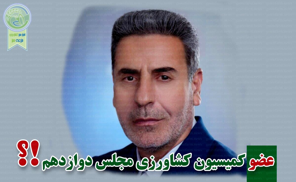 هوشنگ هادیان‌پور نماینده مردم شازند شد

