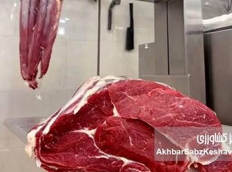 کاهش ۱۱ درصدی عرضه گوشت قرمز در مرداد؛ کدام دام‌ها بیشتر کاهش داشتند؟

