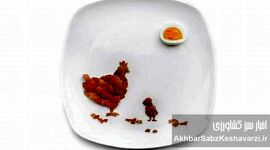 متفورمین، راز افزایش تخم‌گذاری مرغ‌ها: از دیابت تا سفره شما+اینفوگرافی