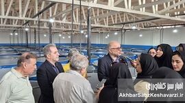 توسعه پرورش ماهیان خاویاری نیازمند حمایت مالی دولت

