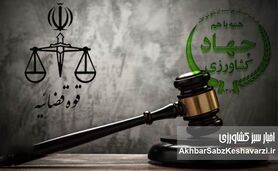 ورود قوه قضاییه به گرانی ارز؛ پرونده‌سازی برای ترک فعل‌ها آغاز شد