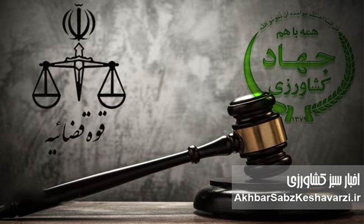ورود قوه قضاییه به گرانی ارز؛ پرونده‌سازی برای ترک فعل‌ها آغاز شد