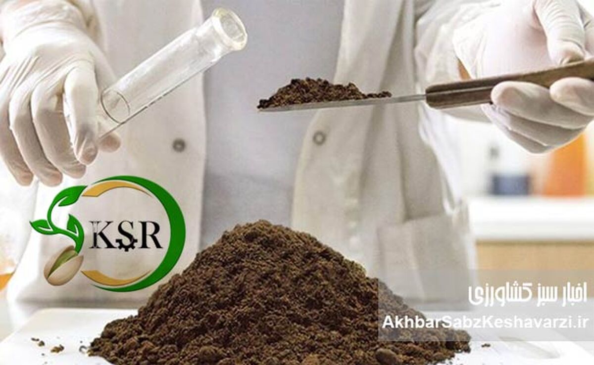 آزمایشگاه تخصصی کیمیای سبز رفسنجان، راهی نو برای افزایش بهره‌وری