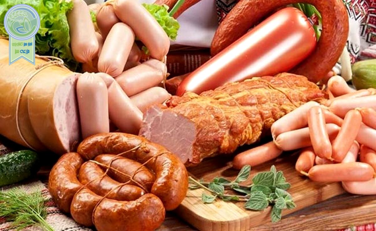 گوشت فرآوری شده و احتمال ابتلا به زوال عقل

