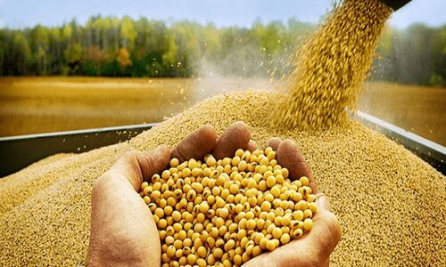بن‌بست خودساخته در زنجیره تأمین غذایی کشور