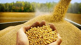 بن‌بست خودساخته در زنجیره تأمین غذایی کشور