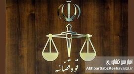 مبلغ دیه سال ۱۴۰۵ اعلام شد؛ نرخ جدید از ابتدای سال اجرایی می‌شود
