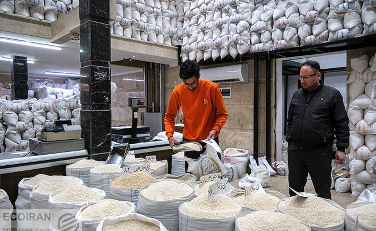  ممنوعیت واردات، بازار برنج را به هم ریخت

