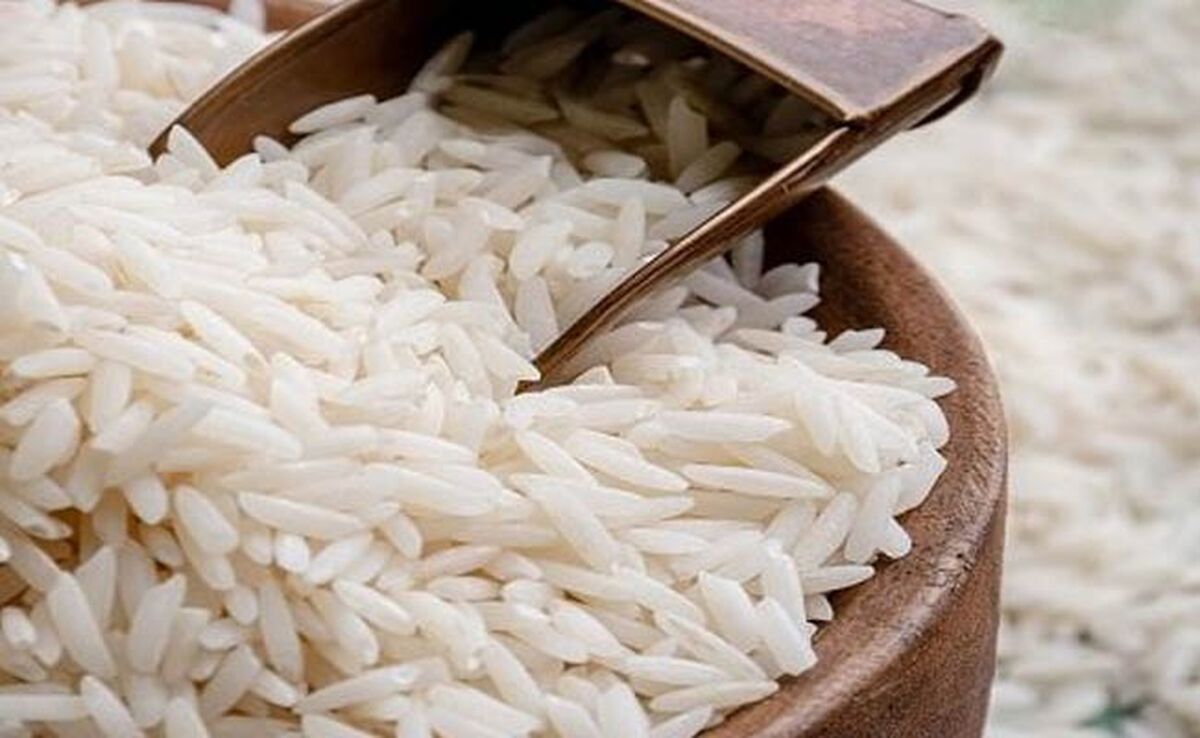 قیمت برنج ایرانی ۲۱ بهمن ۱۴۰۳/ برنج طارم، هاشمی و فجر چند؟

