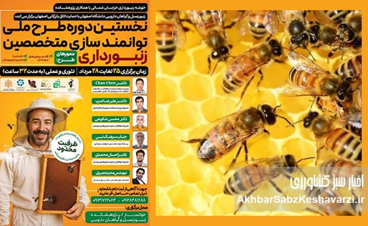 دانشگاه اصفهان پیشگام شد: آغاز نخستین دوره توانمندسازی متخصصین زنبورداری در خوانسار+جزئیات