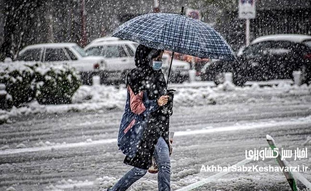 بارش اخیر نسبت به ۵۰ سال گذشته افزایشی بود
