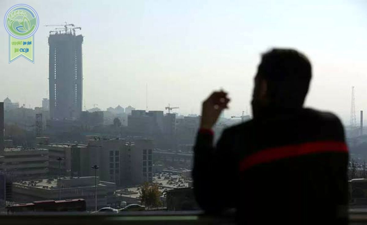 آلودگی هوا قطعه‌ای از پازل مسائل محیط زیستی

