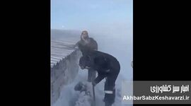 حیوانات در سرمای مرگبار کرمان یخ زدند | برف یک‌متری دام‌ها را زنده‌زنده دفن کرد+ ویدئو