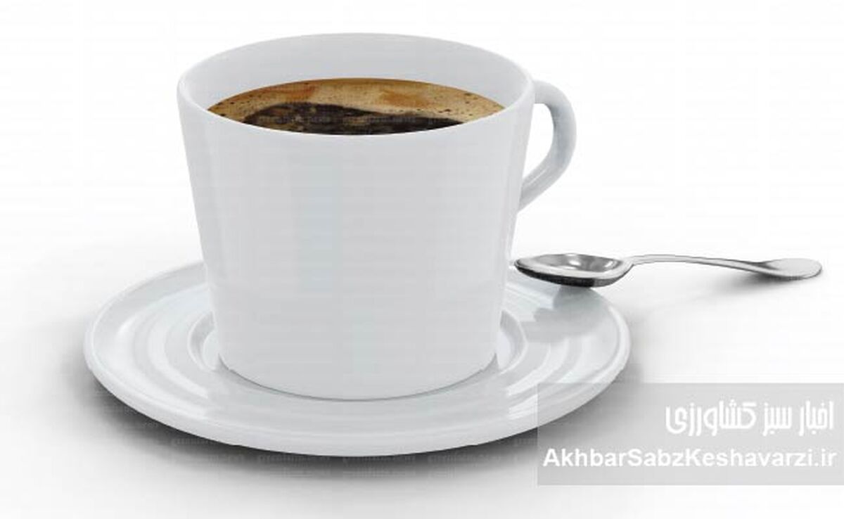 راز طول عمر در یک فنجان قهوه: آیا نوشیدن قهوه واقعاً عمر را زیاد می‌کند؟