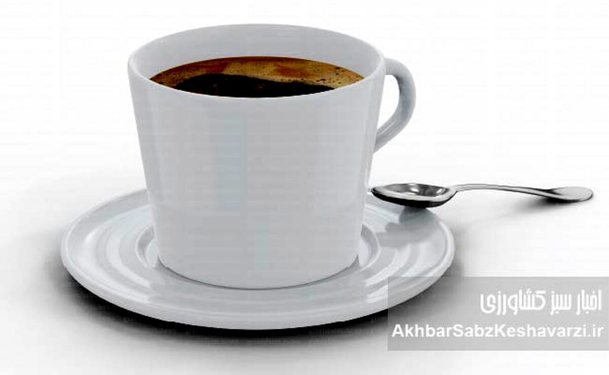 راز طول عمر در یک فنجان قهوه: آیا نوشیدن قهوه واقعاً عمر را زیاد می‌کند؟