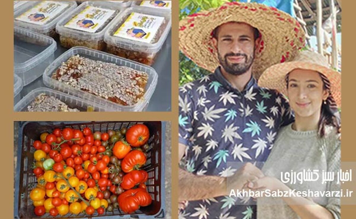 زوجی جوان با دریایی از عشق به تولید: الگویی برای مهاجرت معکوس و خودکفایی در قلب مازندران+ ویدئو