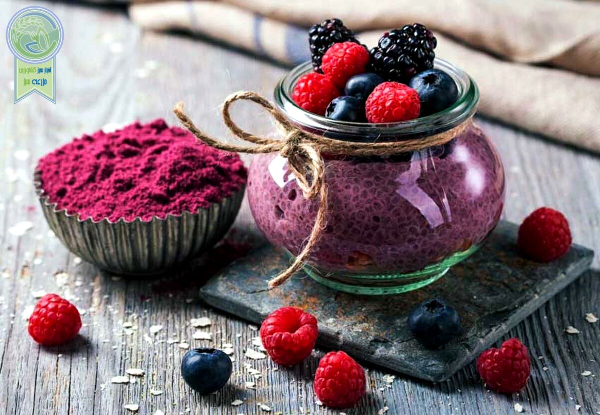 پودر میوه جایگزینی مناسب برای میوه‌اصلی