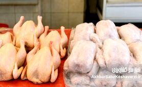 آزادسازی پنهان نهاده‌ها؛ وقتی بحران مرغ از انبارها شروع شد