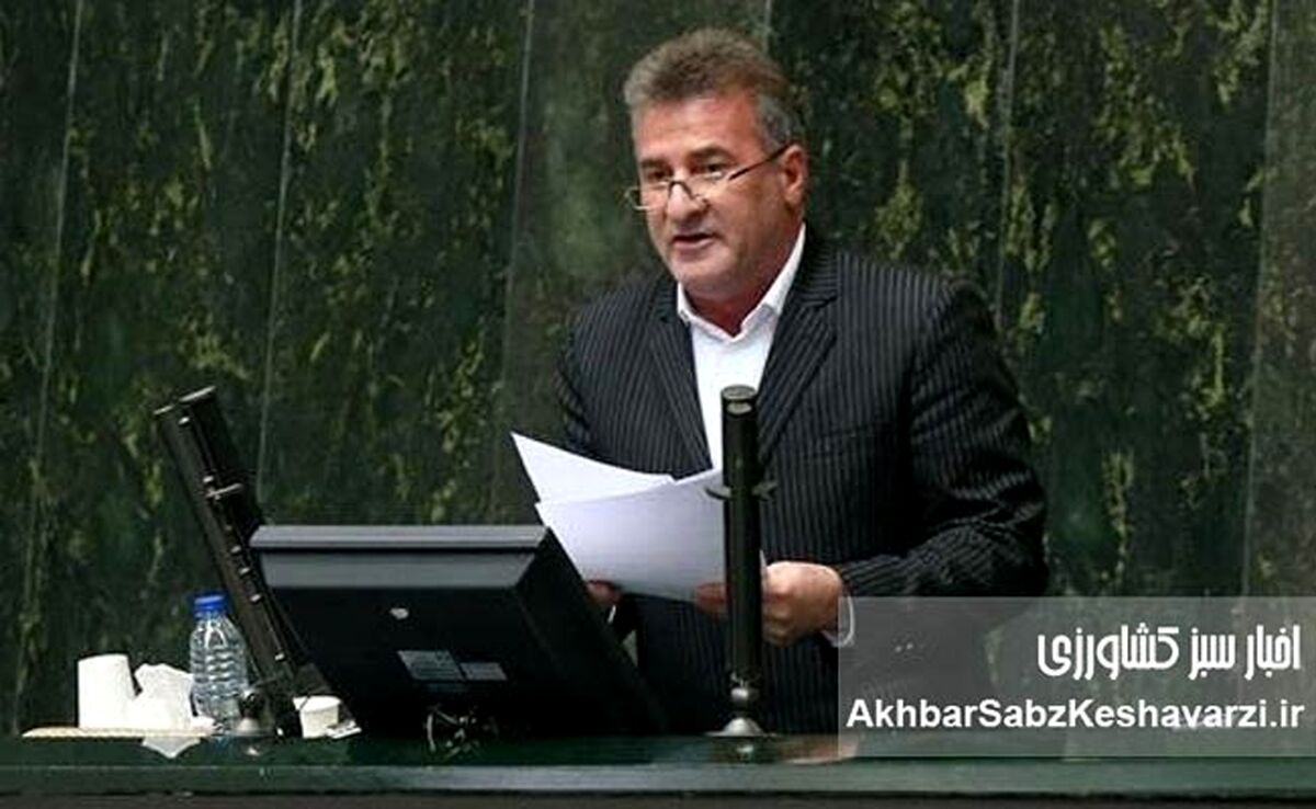 فاجعه در صنعت مرغداری؛ جوجه‌ها قربانی کمبود نهاده شدند