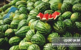 امکان خرید با کمترین قیمت از بازار‌ها و میادین میوه و تره بار
