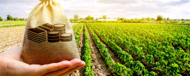 درخواست کمک هزینه با برنامه DuPont Pioneer Giving در کشاورزی