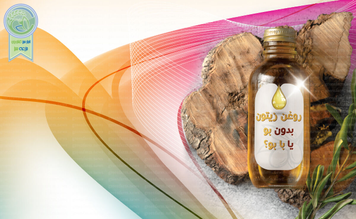 روغن زیتون بدون بو یا با بو؟

