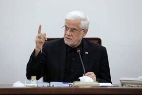 عارف: مسئولی که اختلافات دولت را به جامعه بکشاند عزل می‌شود

