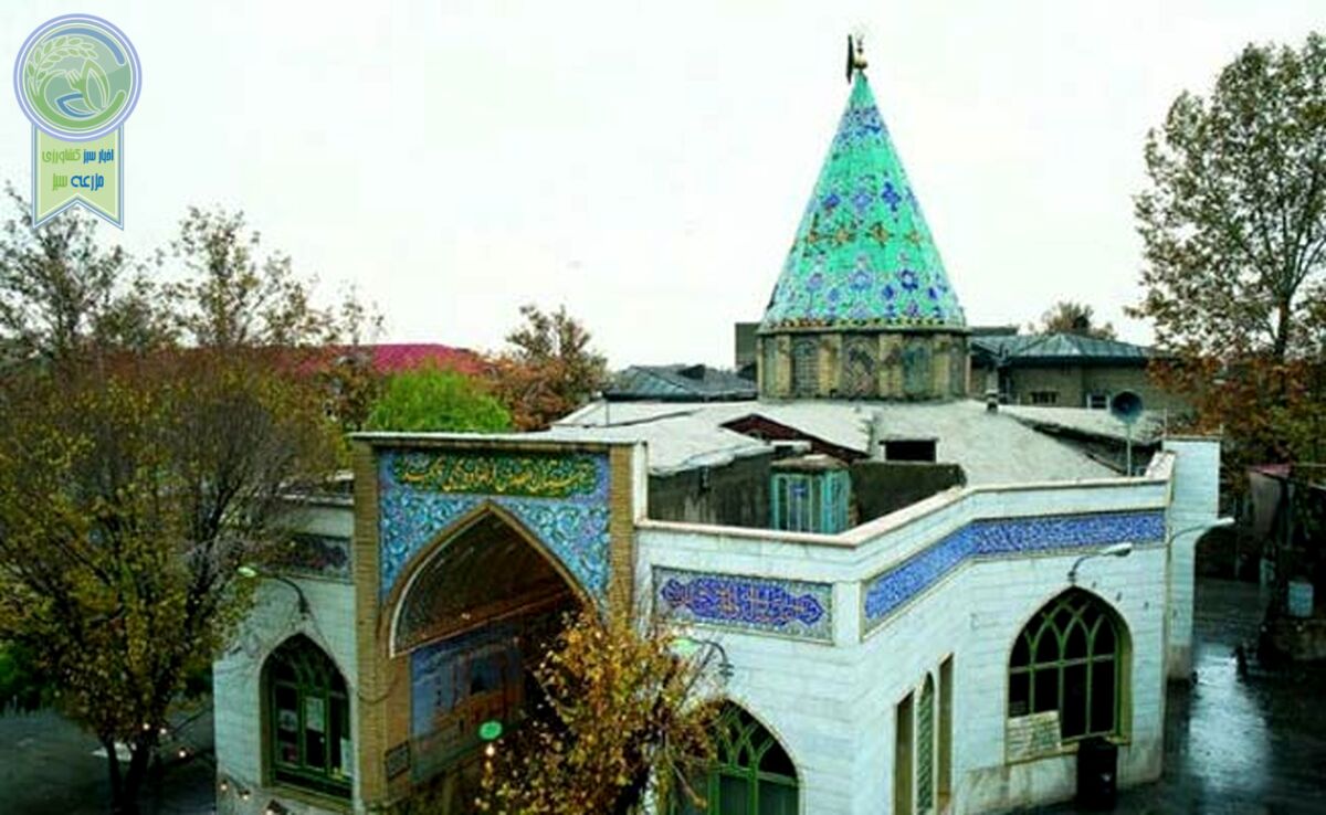 38هزار متر از بافت تاریخی تهران امامزاده می‌‌شود؟

