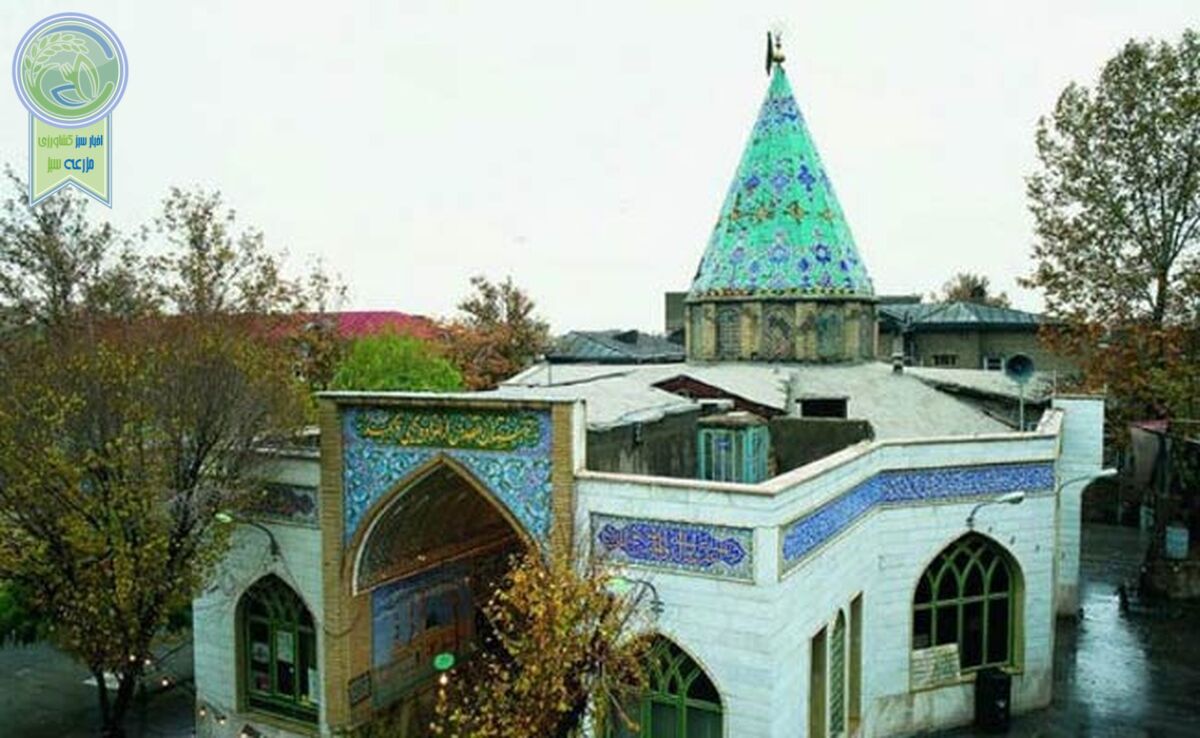 38هزار متر از بافت تاریخی تهران امامزاده می‌‌شود؟

