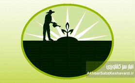 سموم ارگانیک تأییدشده؛ آیا کشاورزی بدون سم شیمیایی ممکن است؟