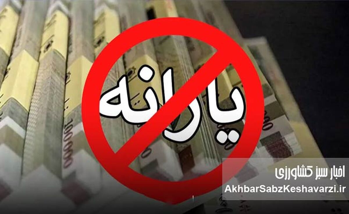 حذف یارانه‌بگیران: متر جدید دولت برای شناسایی دهک‌های پردرآمد+جزئیات