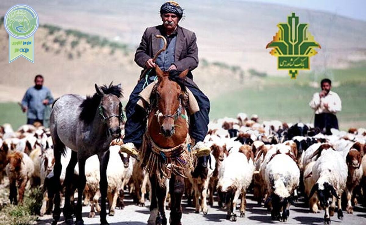 حمایت بانک کشاورزی از جامعه عشایری با پرداخت ۶ هزار میلیارد ریال تسهیلات