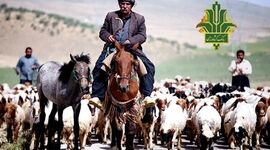 حمایت بانک کشاورزی از جامعه عشایری با پرداخت ۶ هزار میلیارد ریال تسهیلات