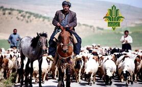 حمایت بانک کشاورزی از جامعه عشایری با پرداخت ۶ هزار میلیارد ریال تسهیلات