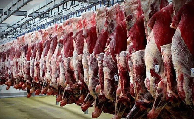 تسهیل فرآیند واردات گوشت و کالاهای اساسی در شرایط جنگی