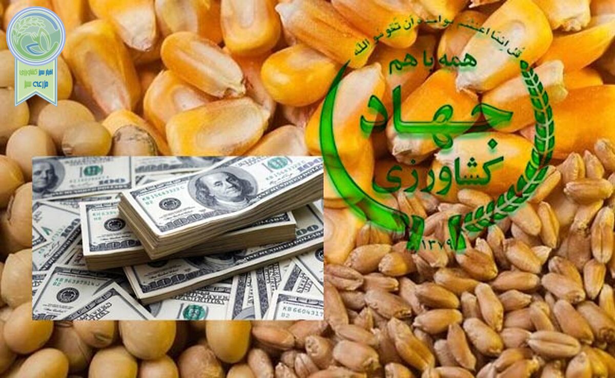 زنگ خطر برای بازار کالاهای اساسی/ تعلل در تخصیص ارز ۲۸۵۰۰ تومانی نهاده‌های کشاورزی+ نامه