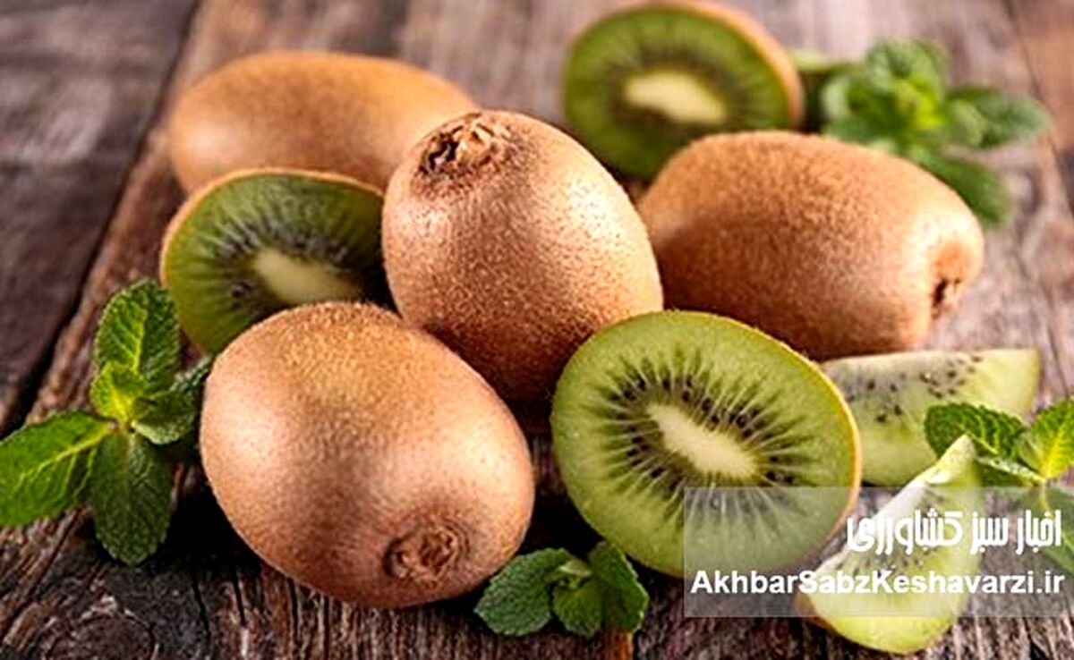 ۵ میوه مفید برای سلامت روده؛ از سیب تا کیوی چه بخوریم؟
