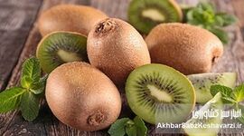 ۵ میوه مفید برای سلامت روده؛ از سیب تا کیوی چه بخوریم؟