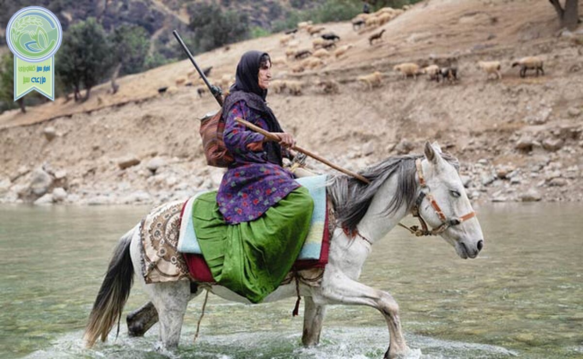 ​جادوی زاگرس و روایت اشک‌ها و لبخندها

