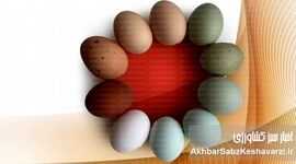 چرا تخم‌مرغ‌ها رنگارنگند؟ راز رنگ‌های مختلف پوسته تخم‌مرغ فاش شد!