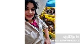 بانوان بازوهای قدرتمند عرصه تولید+کلیپ
