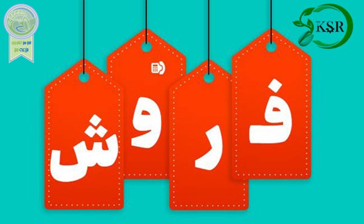 کیمیای سبز رفسنجان، تولیدکننده برتر کود سولفات آمونیوم+ جزئیات خرید و مصرف