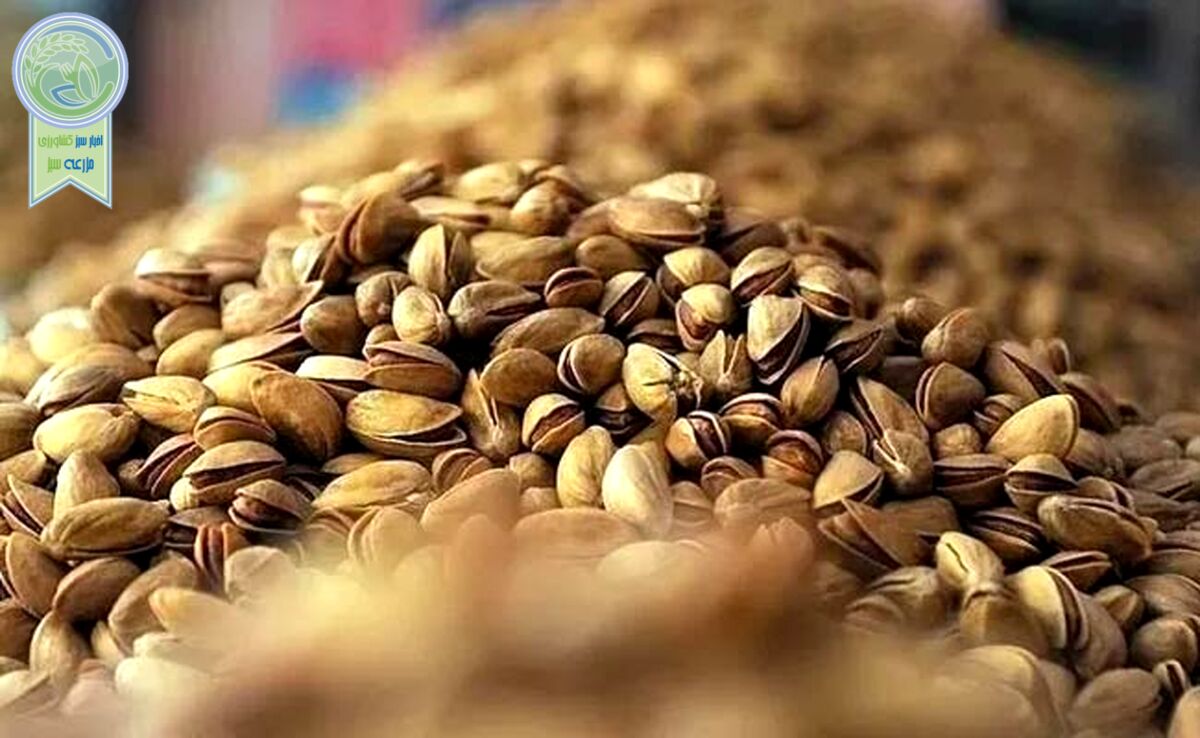 خودروسازان، آجیل و خشکبار را ۲۰ درصد گران کردند+ ویدئو