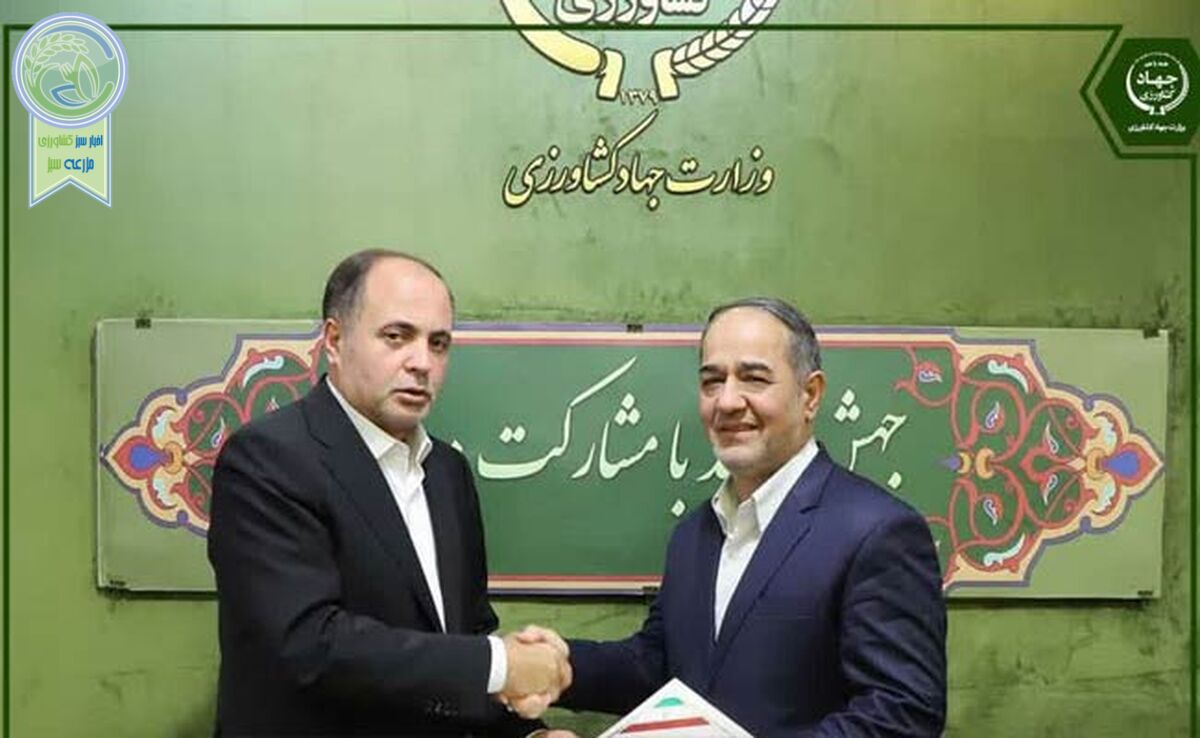 امید طلایی برای تعاون روستایی

