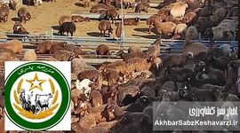 مزرعه پدری؛ پیشگام در امنیت غذایی کشور
