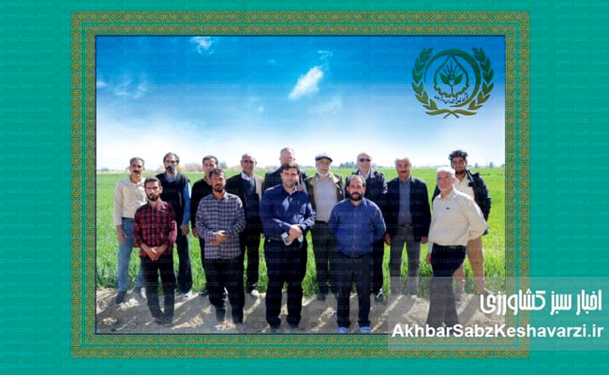 مجموعه شرکت تعاونی کشاورزی سوم‌شعبان کرمان؛ پویا، خلاق و کارآفرین