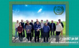 مجموعه شرکت تعاونی کشاورزی سوم‌شعبان کرمان؛ پویا، خلاق و کارآفرین