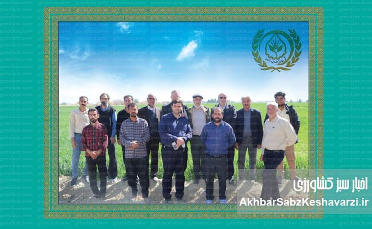 مجموعه شرکت تعاونی کشاورزی سوم‌شعبان کرمان؛ پویا، خلاق و کارآفرین