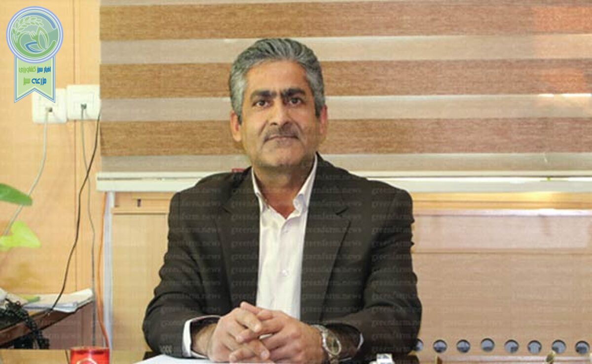 درخت پربار خدمت بانک همیشه سبز کشاورزی

